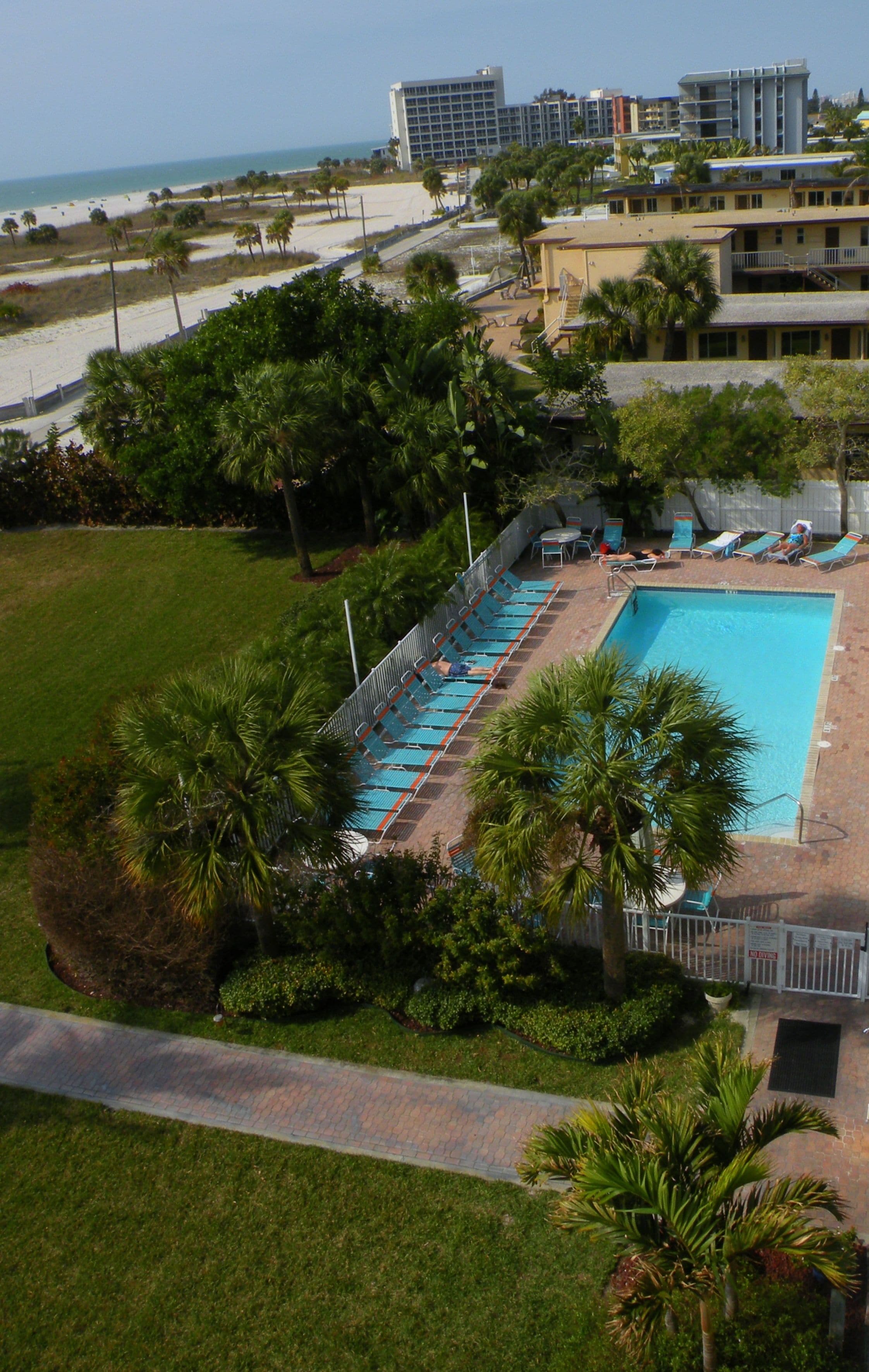 A pool area with multiple lounge chairs and a swimming pool, surrounded by palm trees and a grassy lawn.