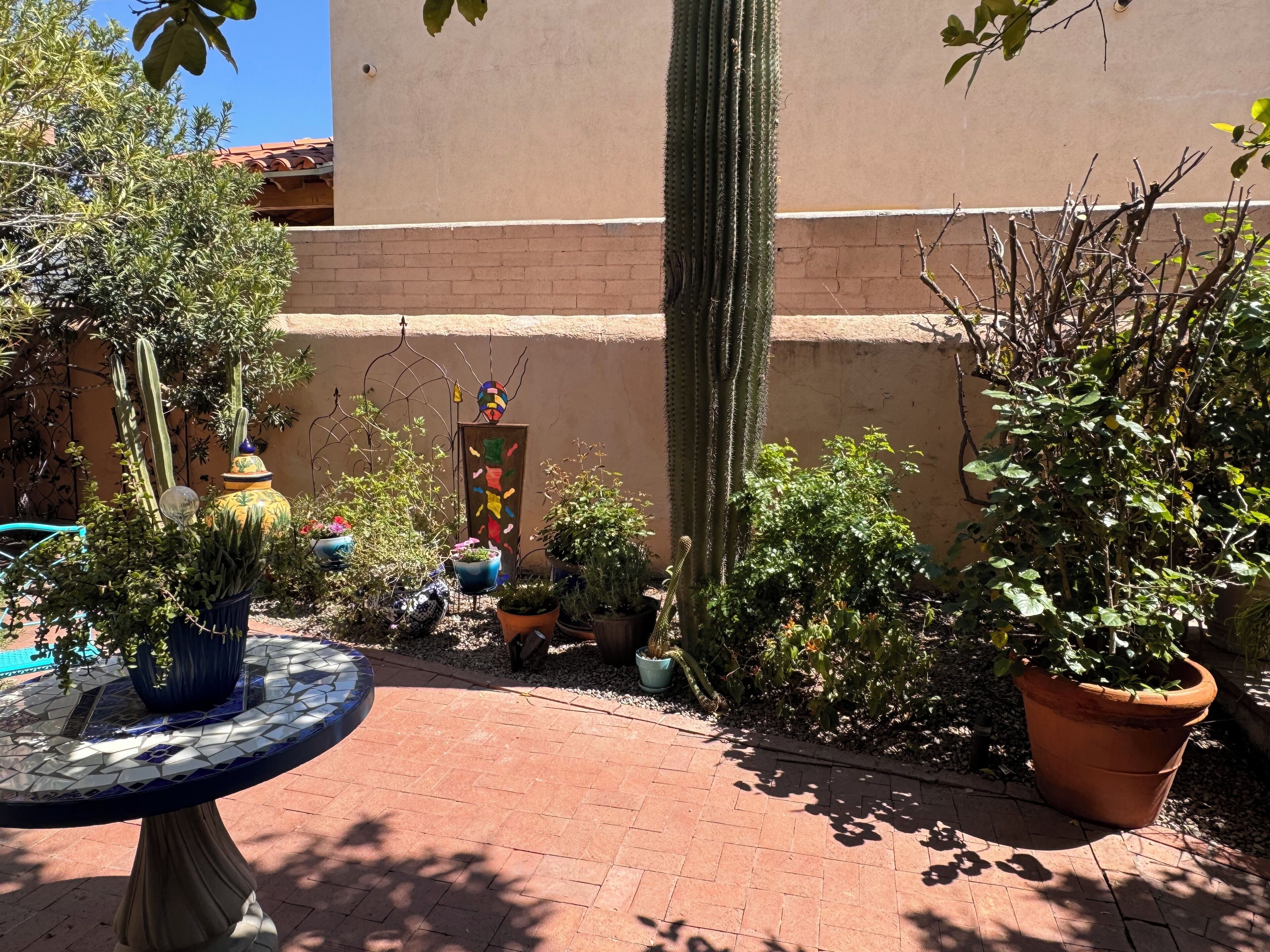 A courtyard with potted plants, a mosaic table, and a cactus.
