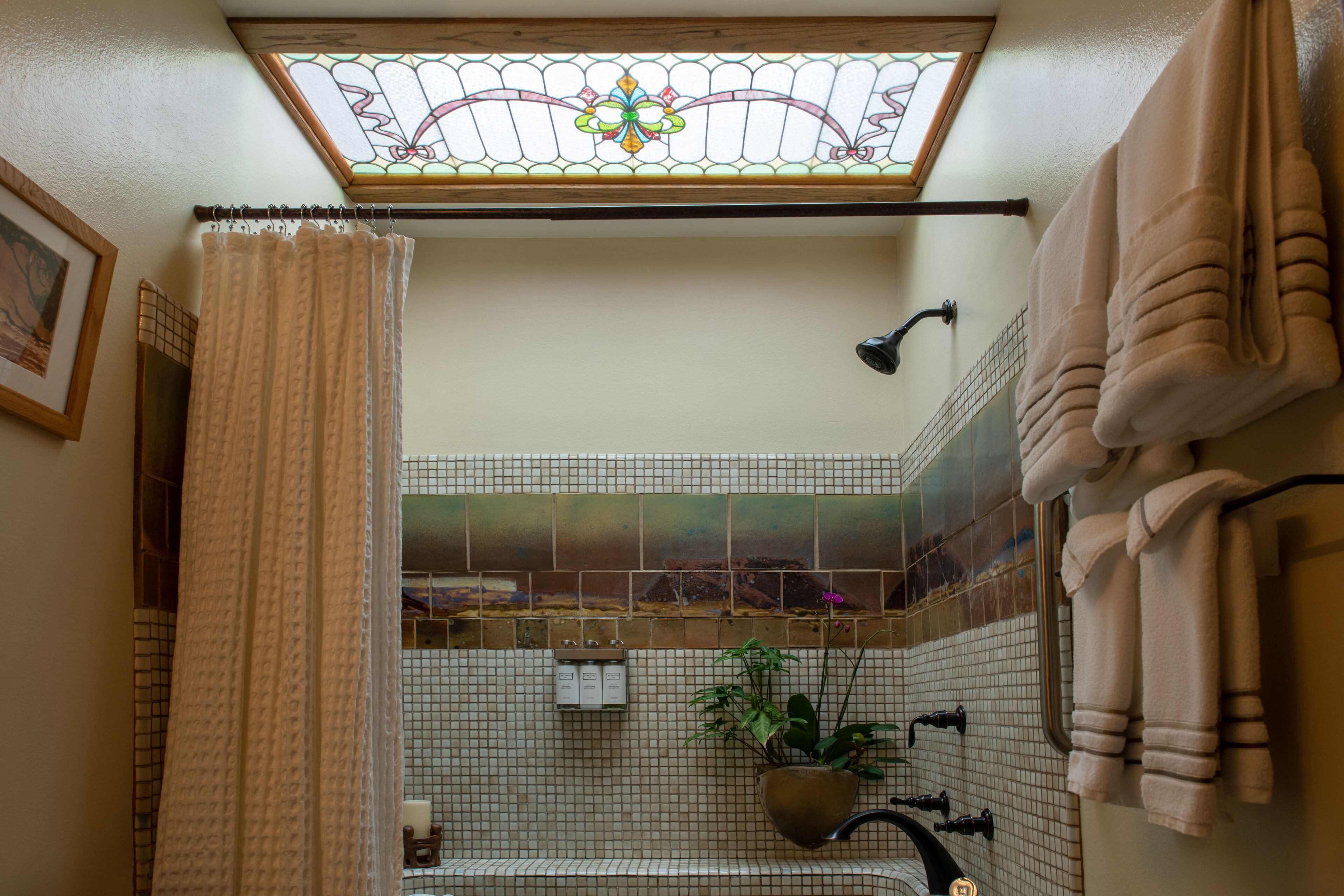 A bathroom with a shower curtain, a towel rack, a potted plant, and a tiled wall.