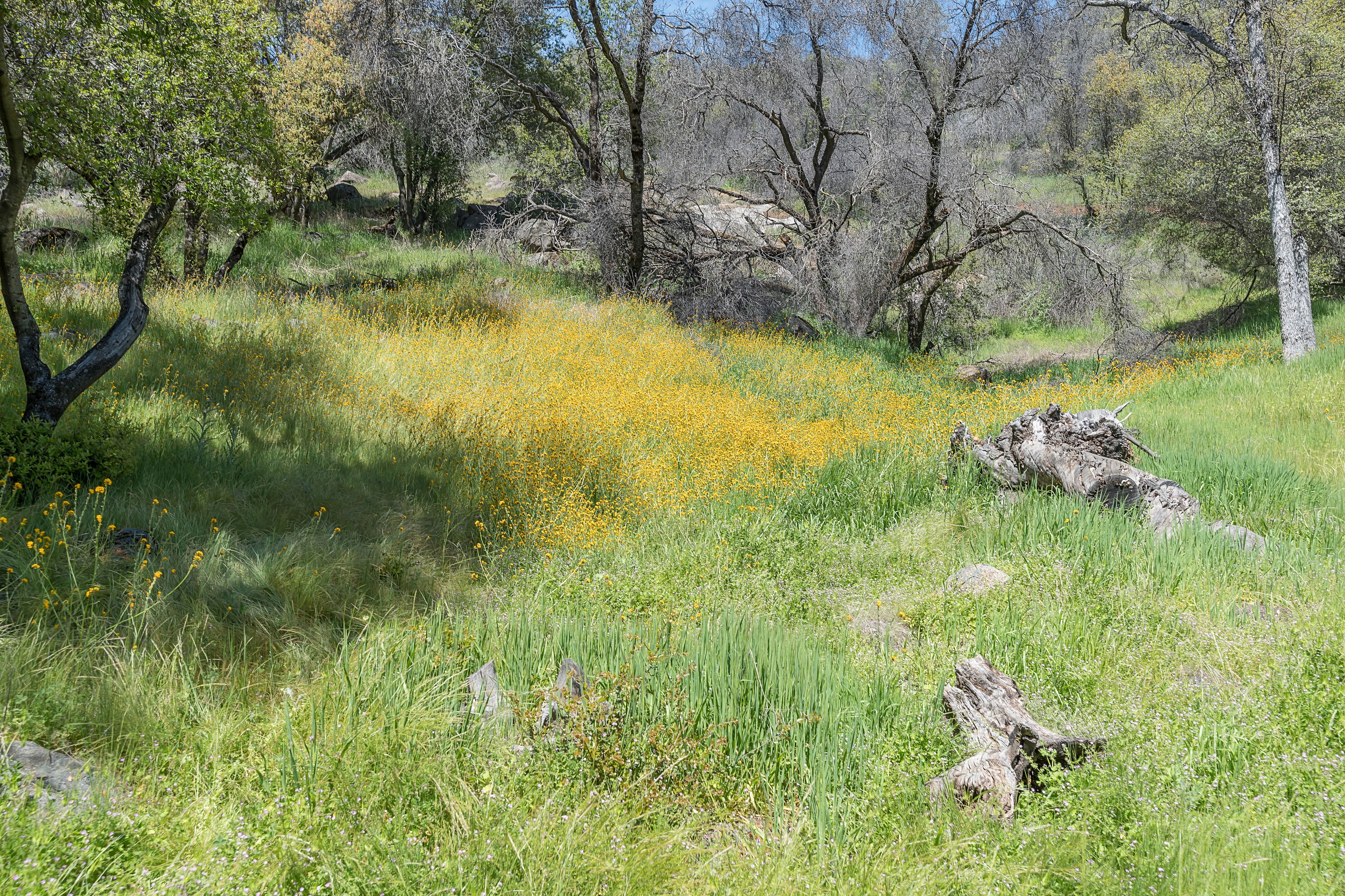 stagecoach cottage | property grounds