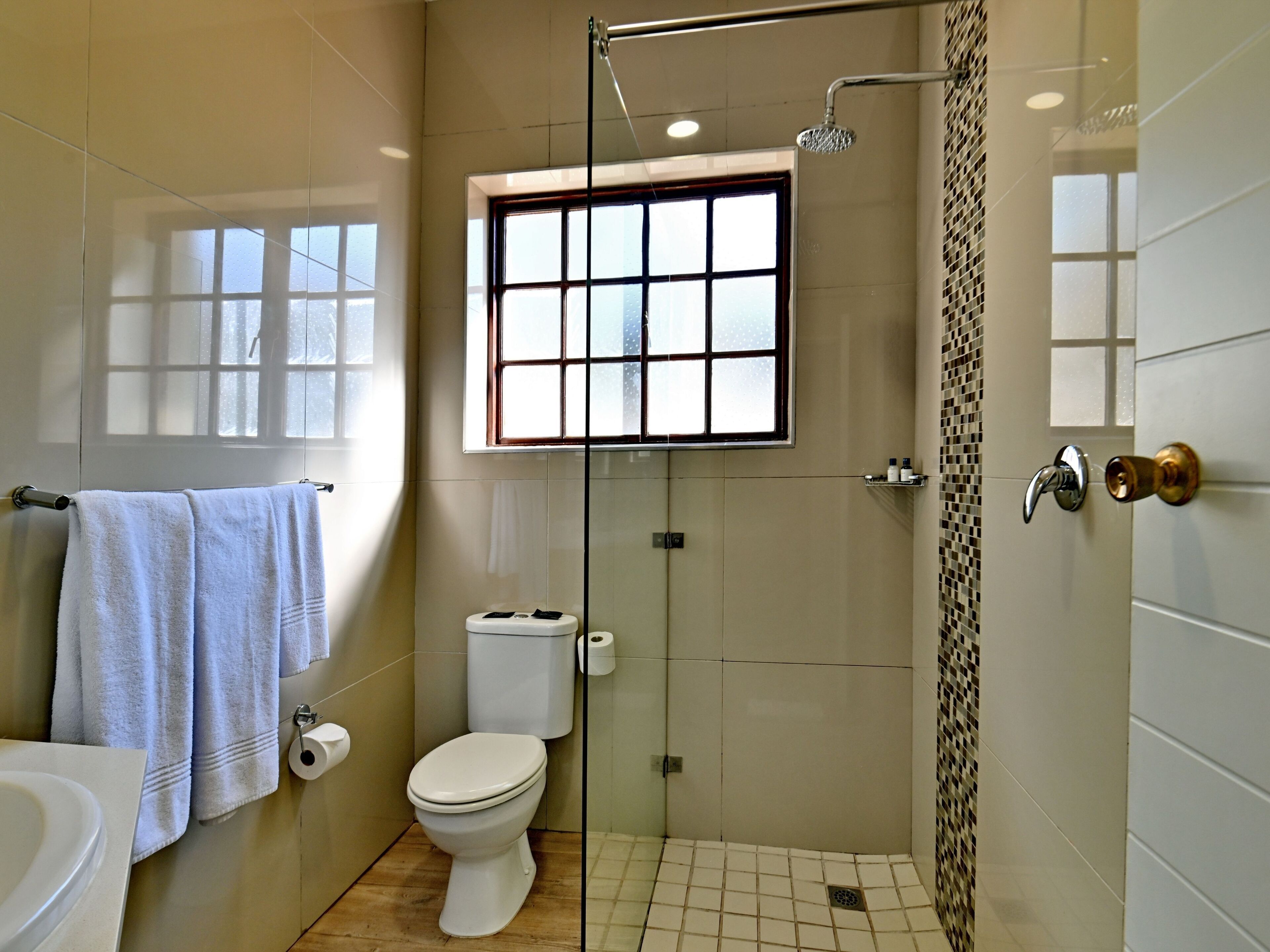 Ein Badezimmer mit Toilette, Dusche und Fenster.