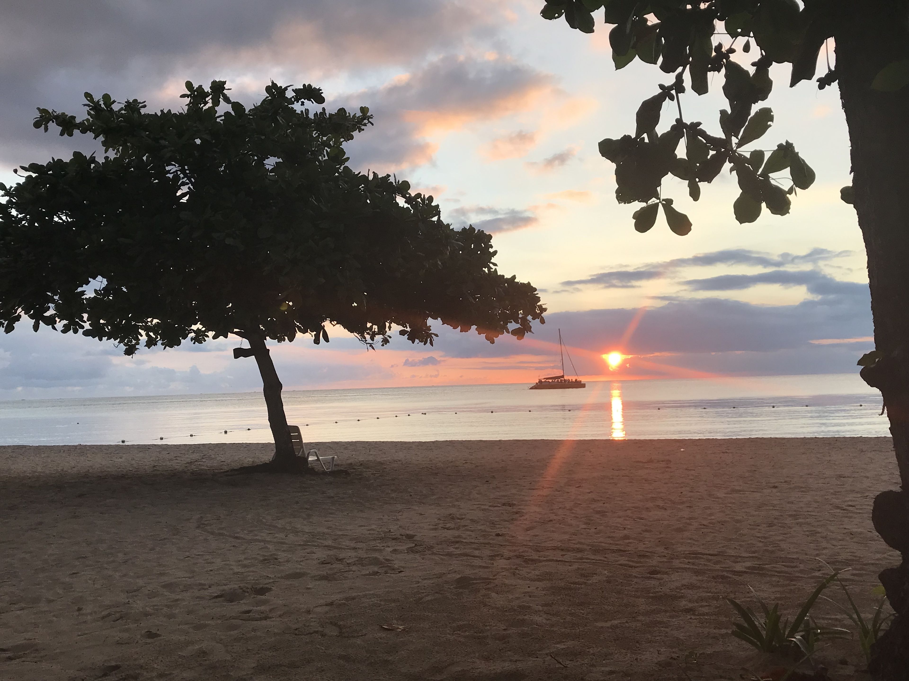 Ein Strand mit Baum, Boot und Sonnenuntergang.