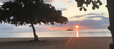 Ein Strand mit Baum, Boot und Sonnenuntergang.