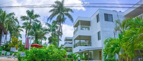 A multi-story hotel with balconies, surrounded by lush greenery and palm trees.