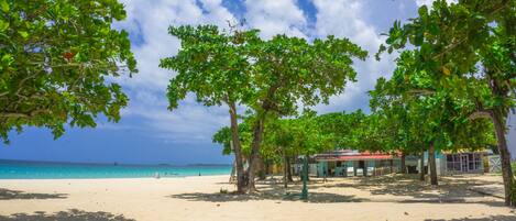 A beach with trees, a building, and a clear sky.