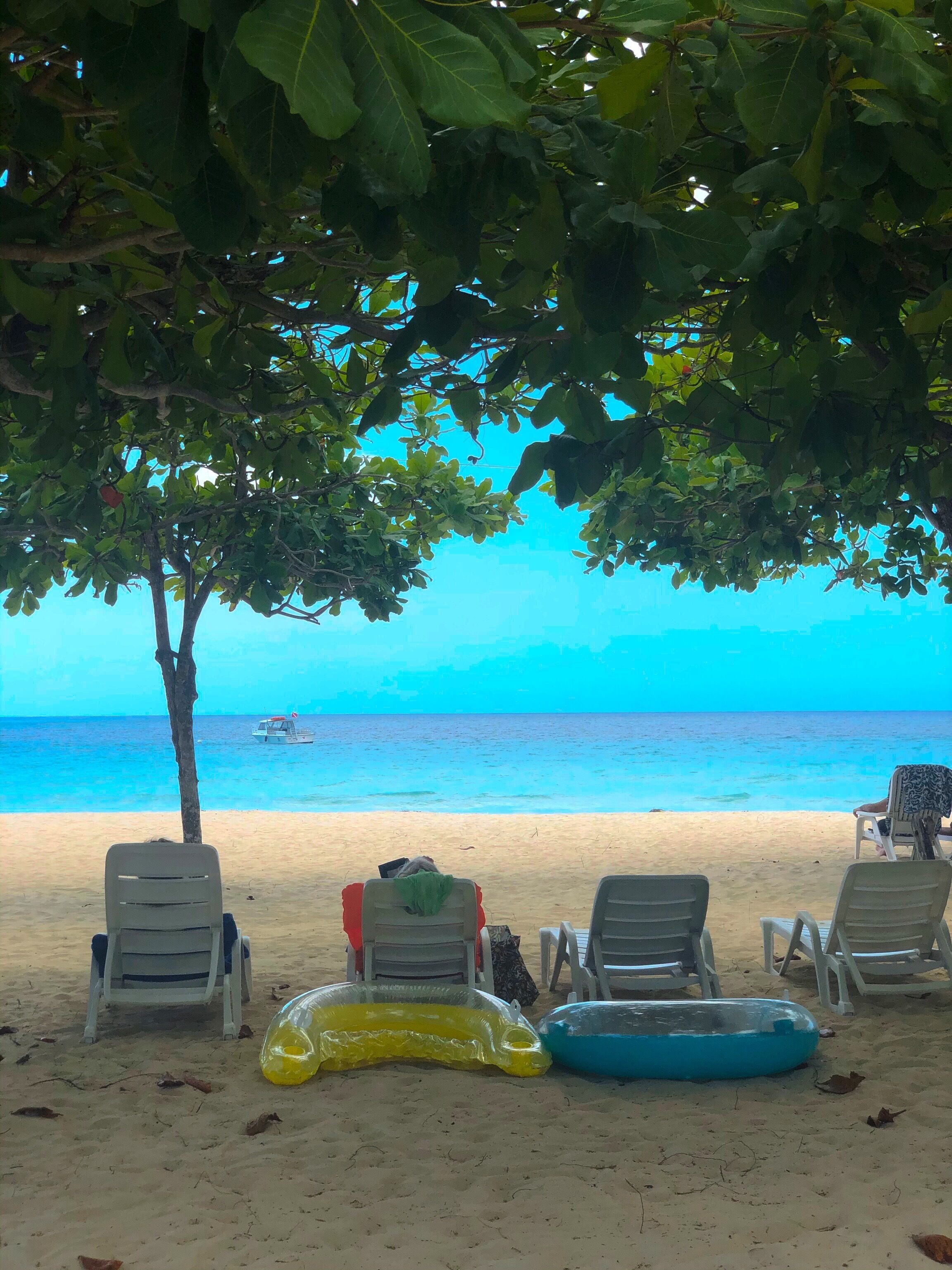 Una playa con varias sillas de descanso bajo un árbol, vista despejada del océano y un barco a lo lejos.