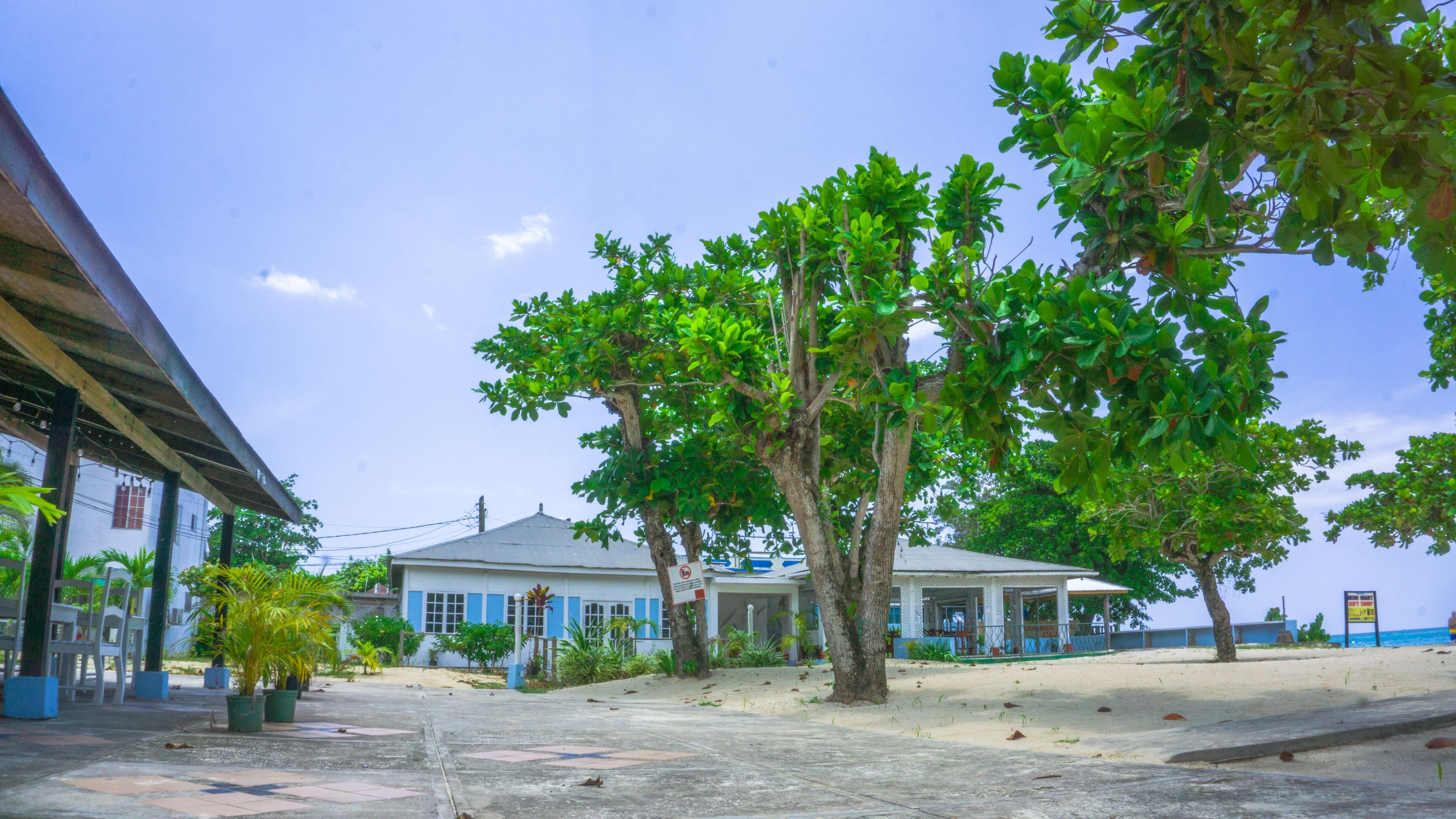 Playa privada y bar en la playa 