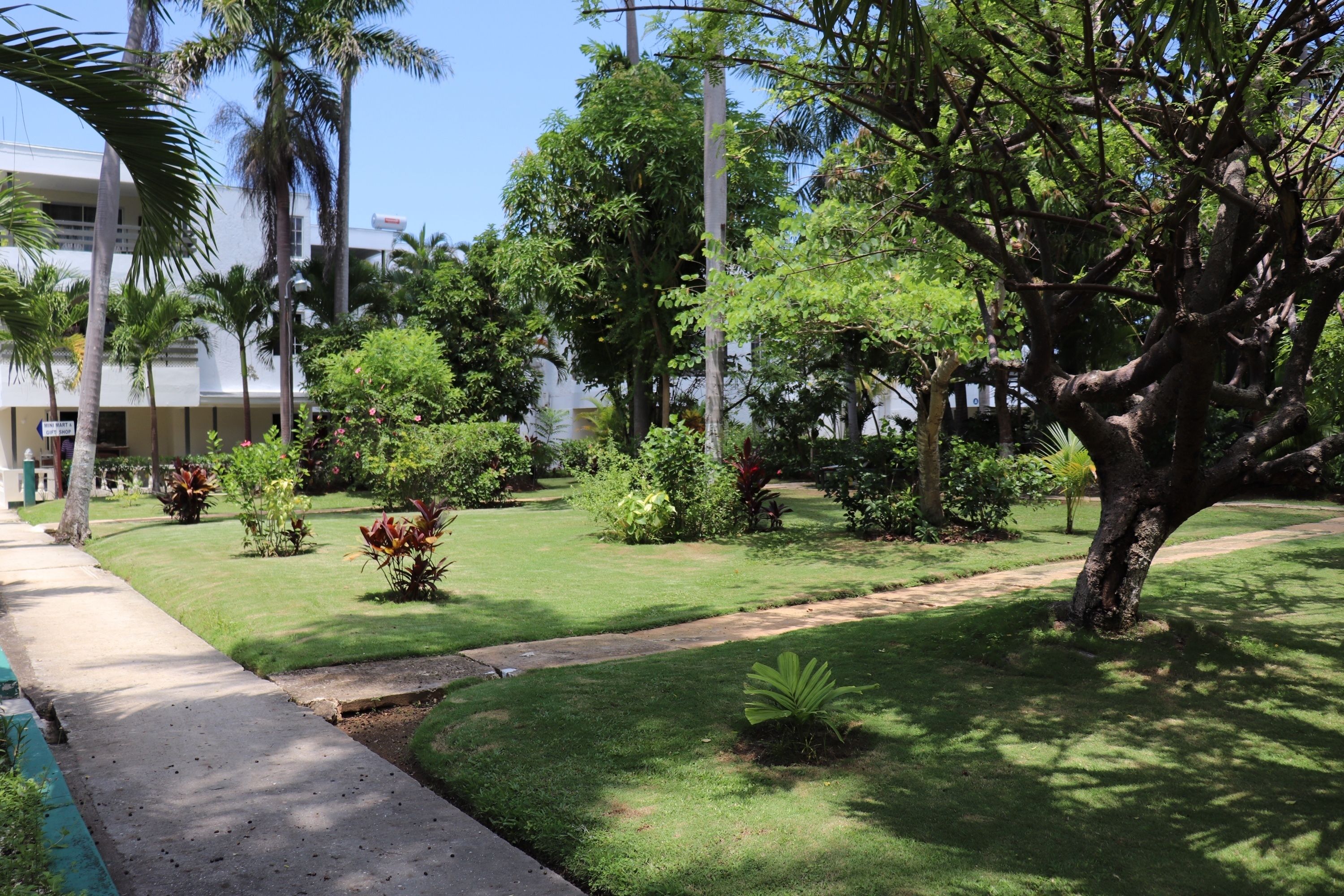 A well-maintained garden with a variety of trees and shrubs, a paved walkway, and a building in the background.