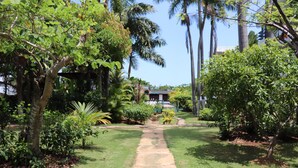 A pathway leading to a building surrounded by lush greenery and palm trees. - Negril Beach Club (Negril)