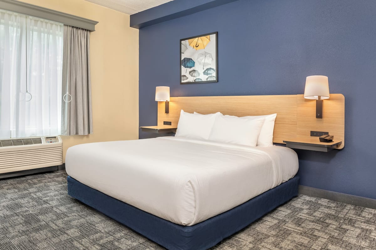 Room, 1 King Bed with Sofa bed (Mobility/Hearing Access, Transf Shwr)