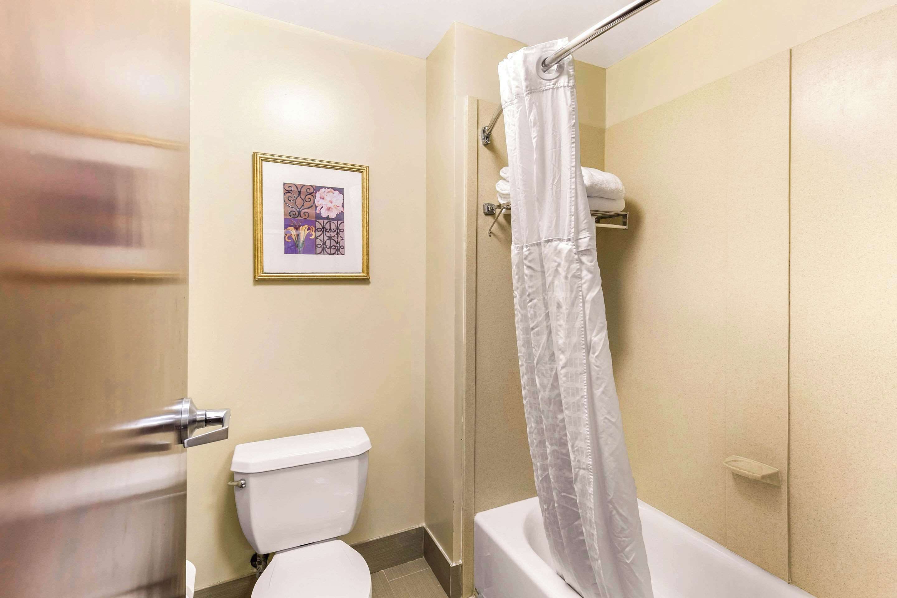 combined shower/bathtub, rainfall showerhead, free toiletries