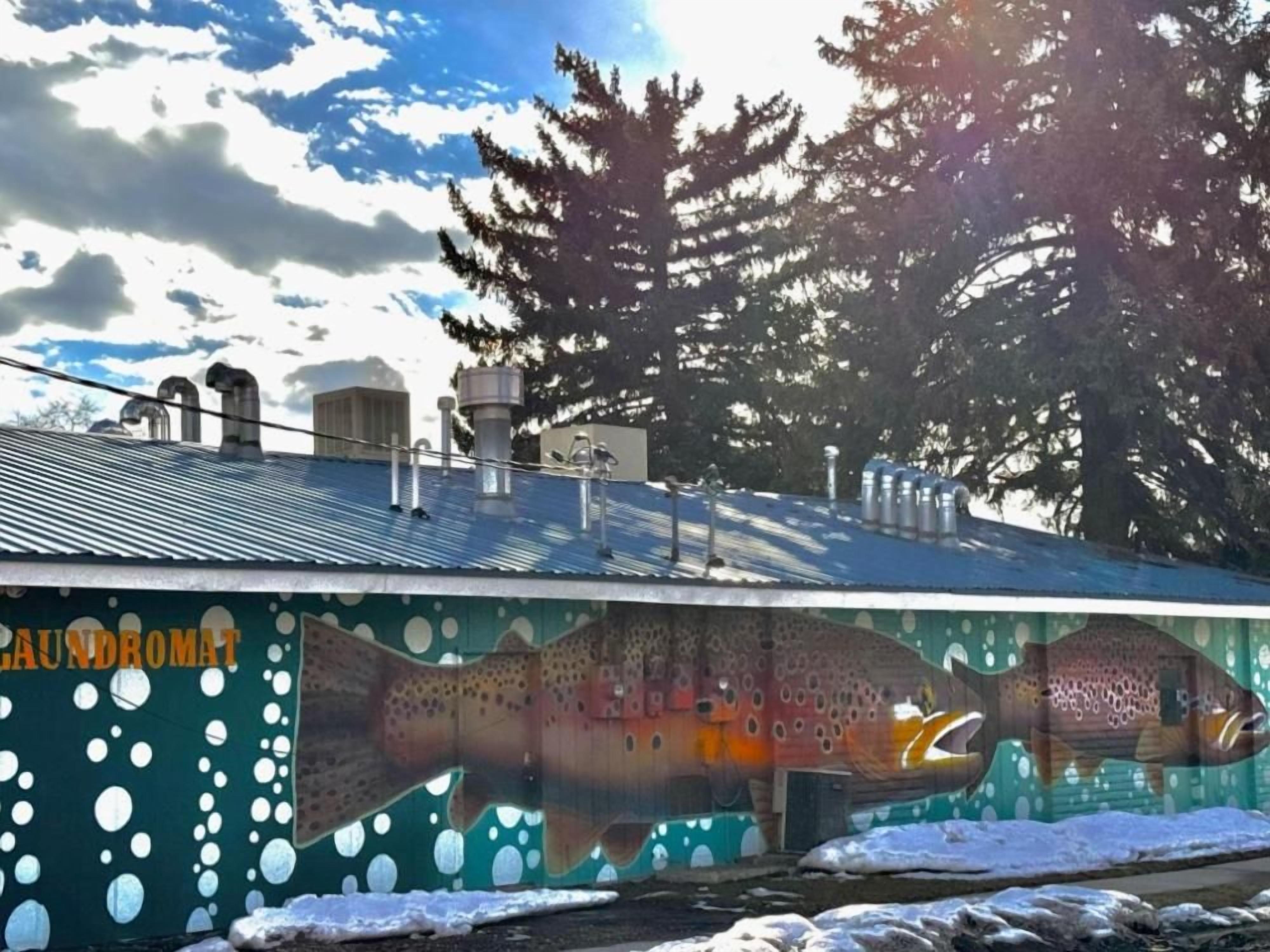 Un edificio con un mural de peces, techo de metal y nieve en el suelo.