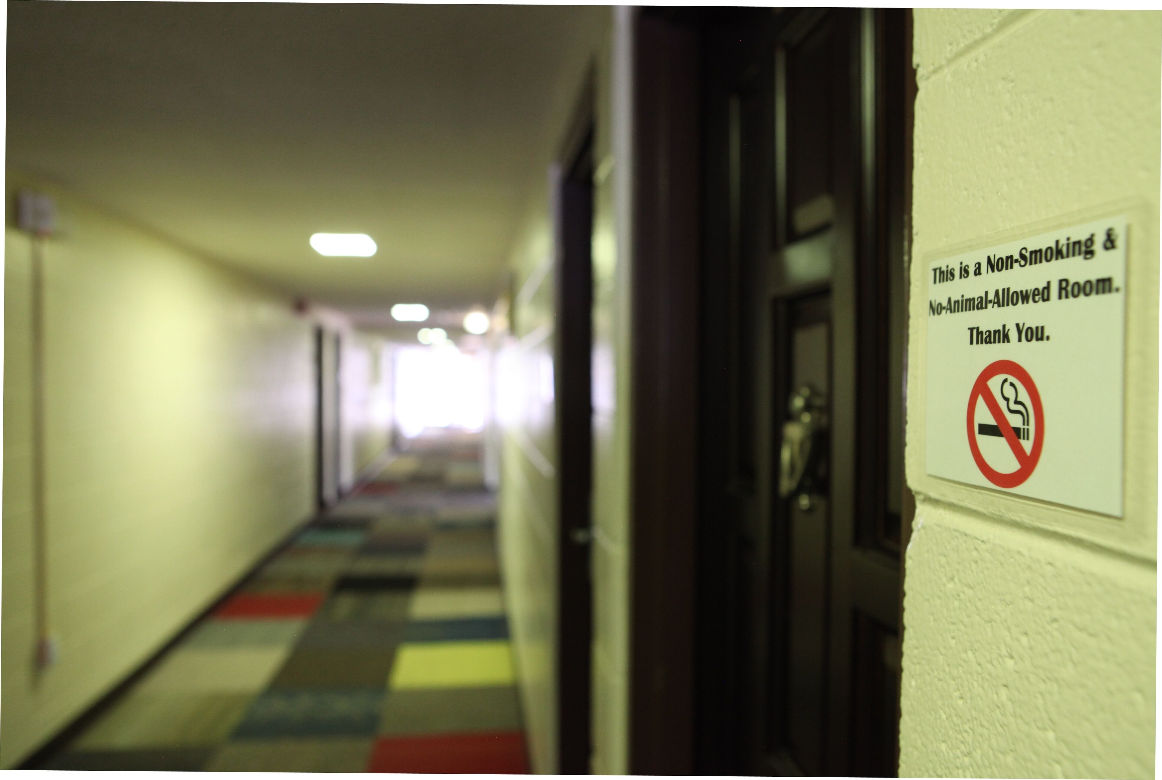 A hallway with a sign indicating it is a non-smoking and no-animal-allowed room.