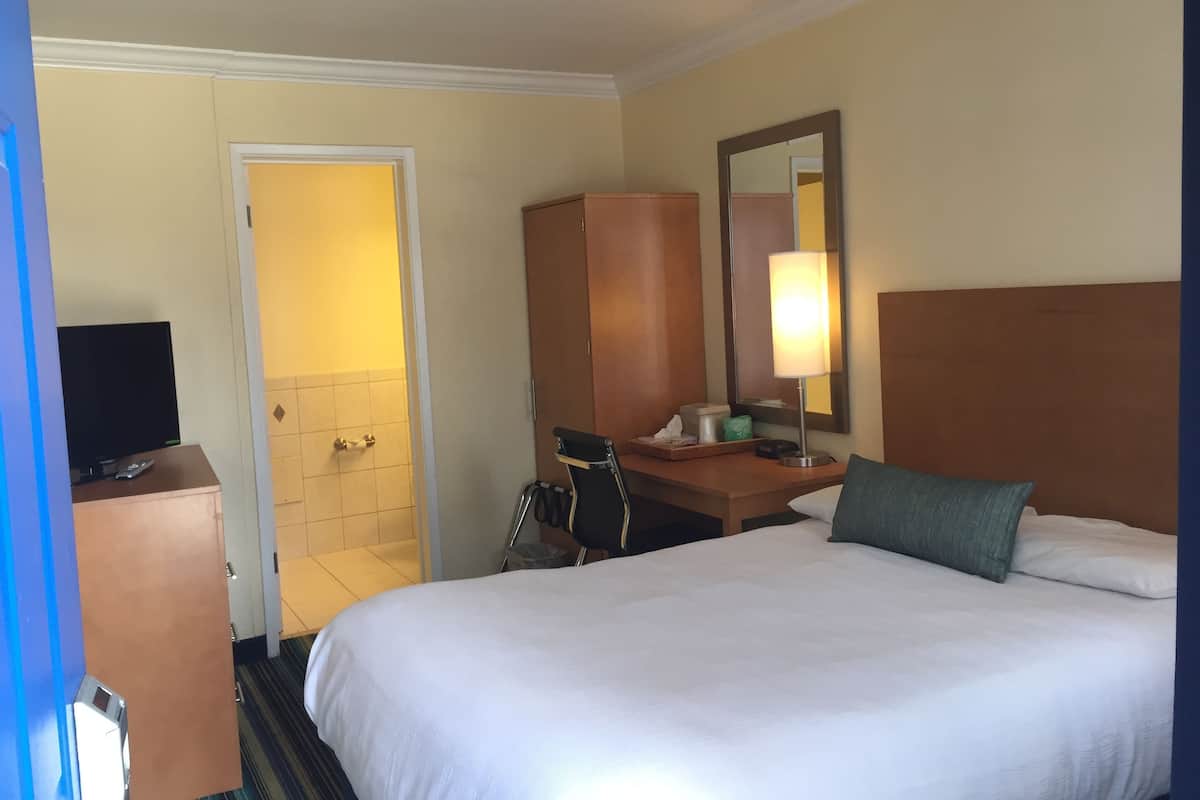 A hotel room with a bed, a desk, a chair, a television, a wardrobe, and a mirror.