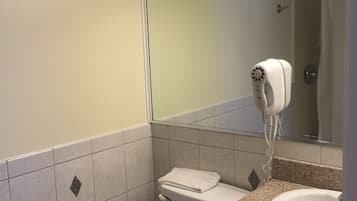 Une salle de bain équipée de toilettes, d’un lavabo et d’un sèche-cheveux fixé au mur.
