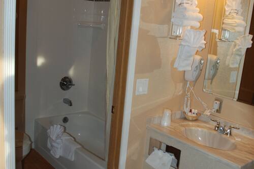 Combined shower/tub, free toiletries, hair dryer, towels