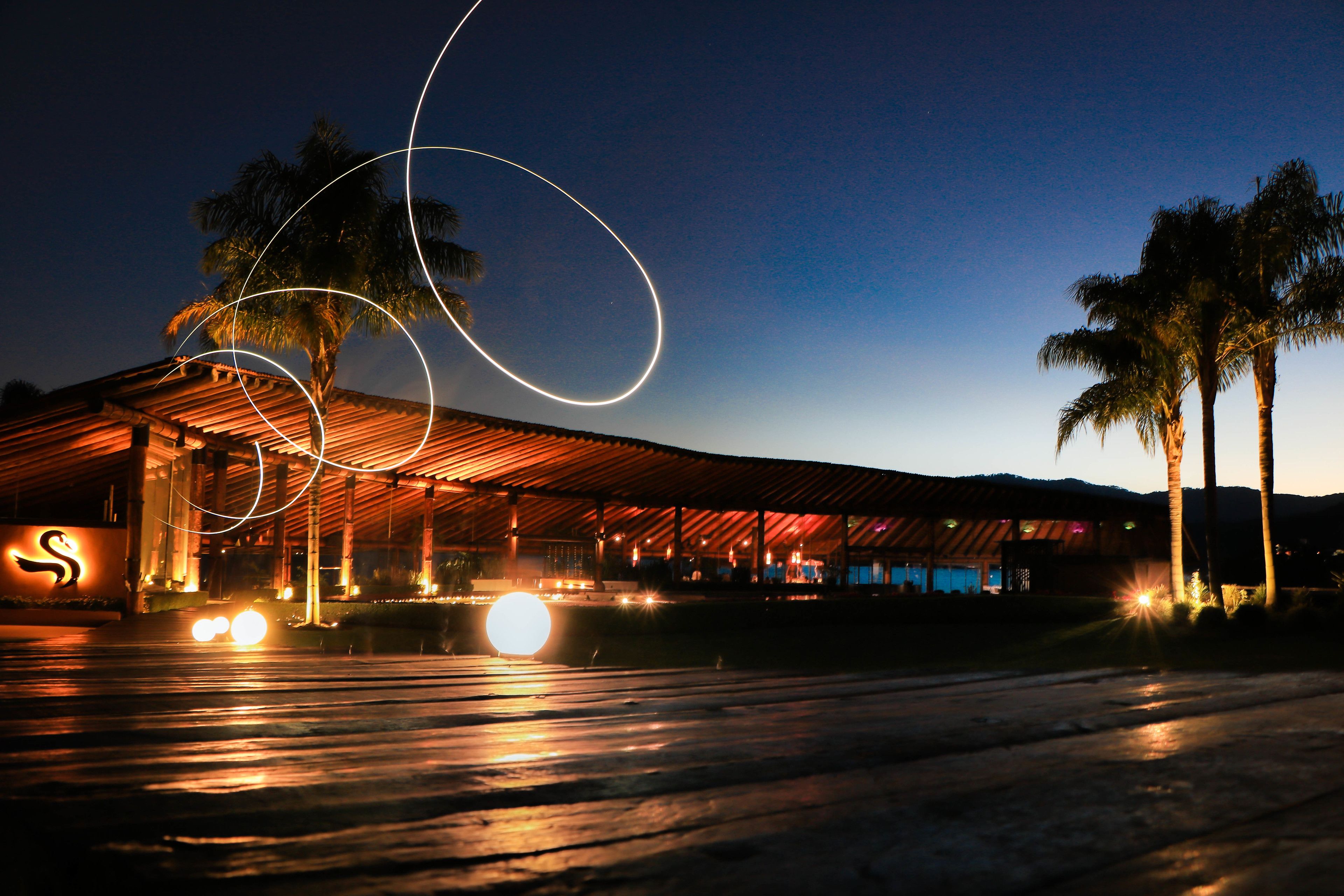 A modern building with a curved roof and palm trees in the foreground.