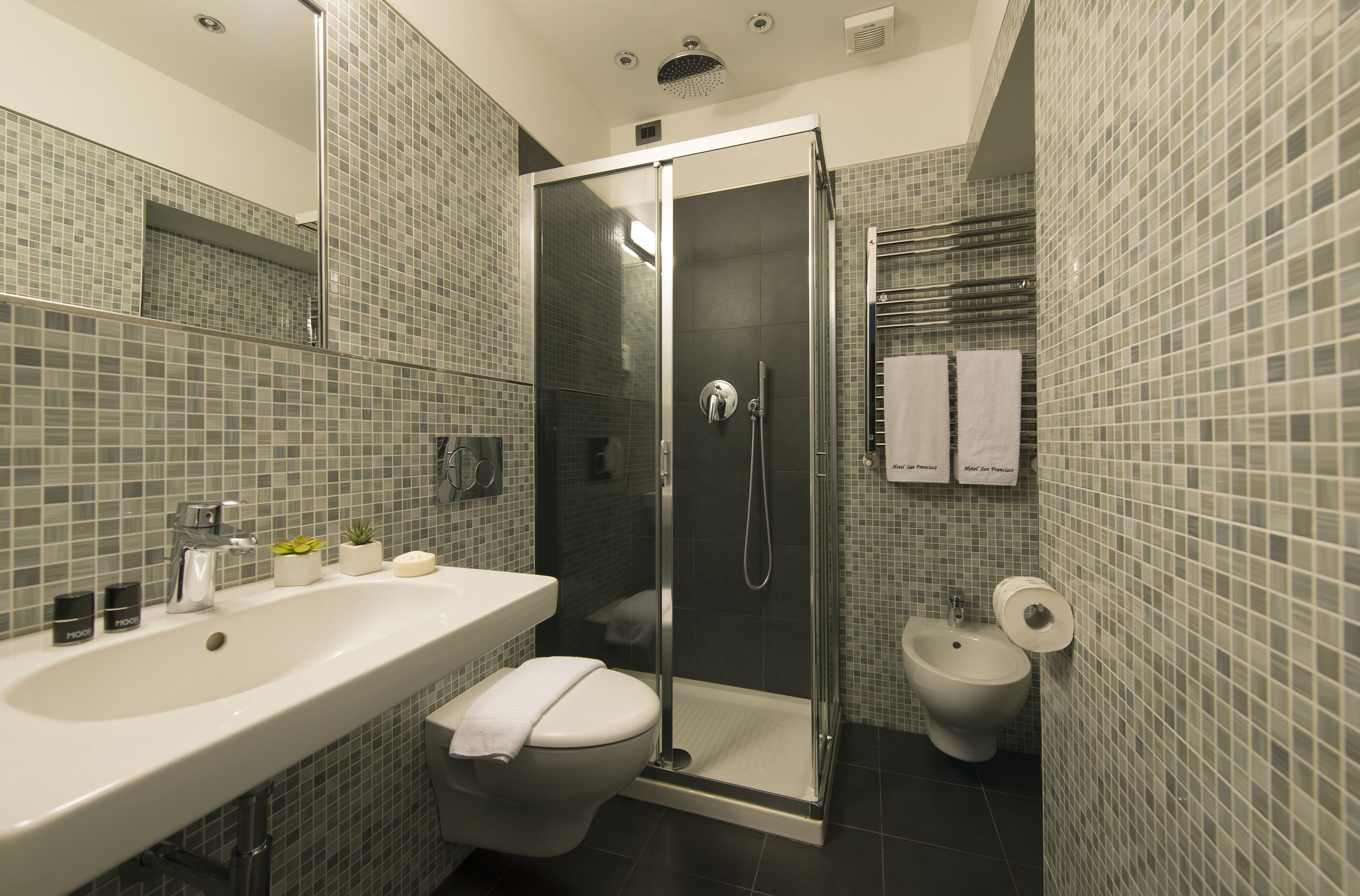 shower, free toiletries, hair dryer, bidet