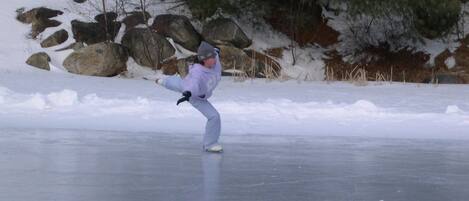 A person ice skating on a frozen surface with rocks and sparse vegetation in the background.