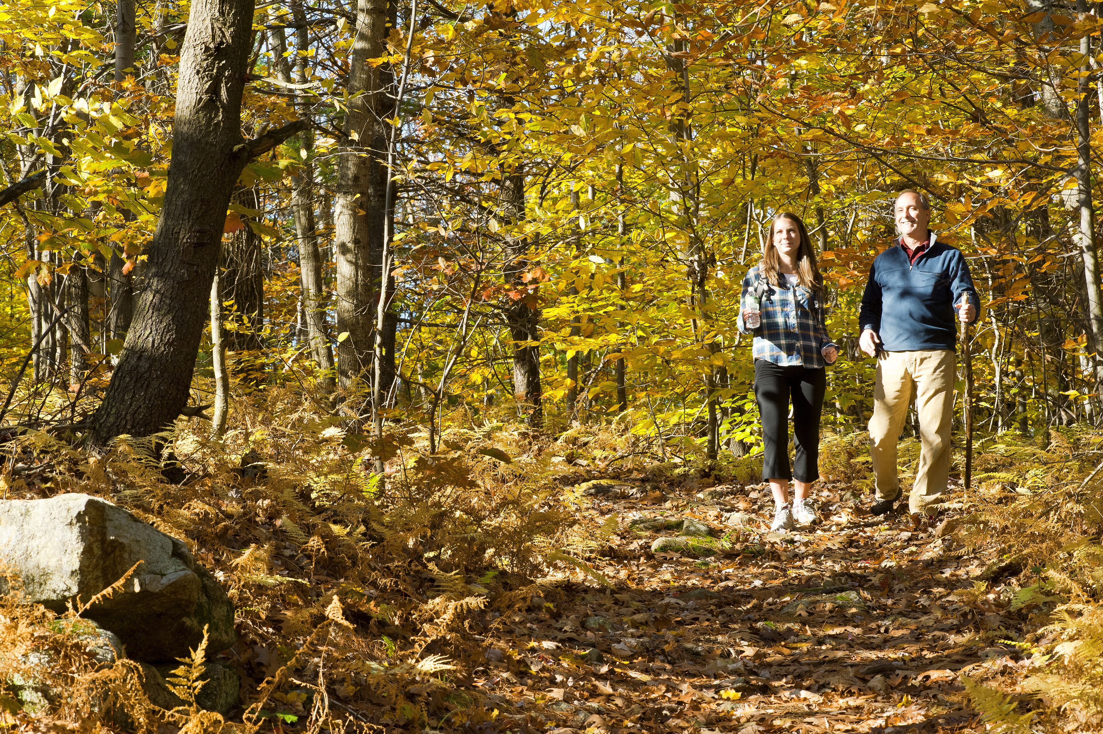 A forested area with a dirt path, trees with yellow leaves, and a large rock.