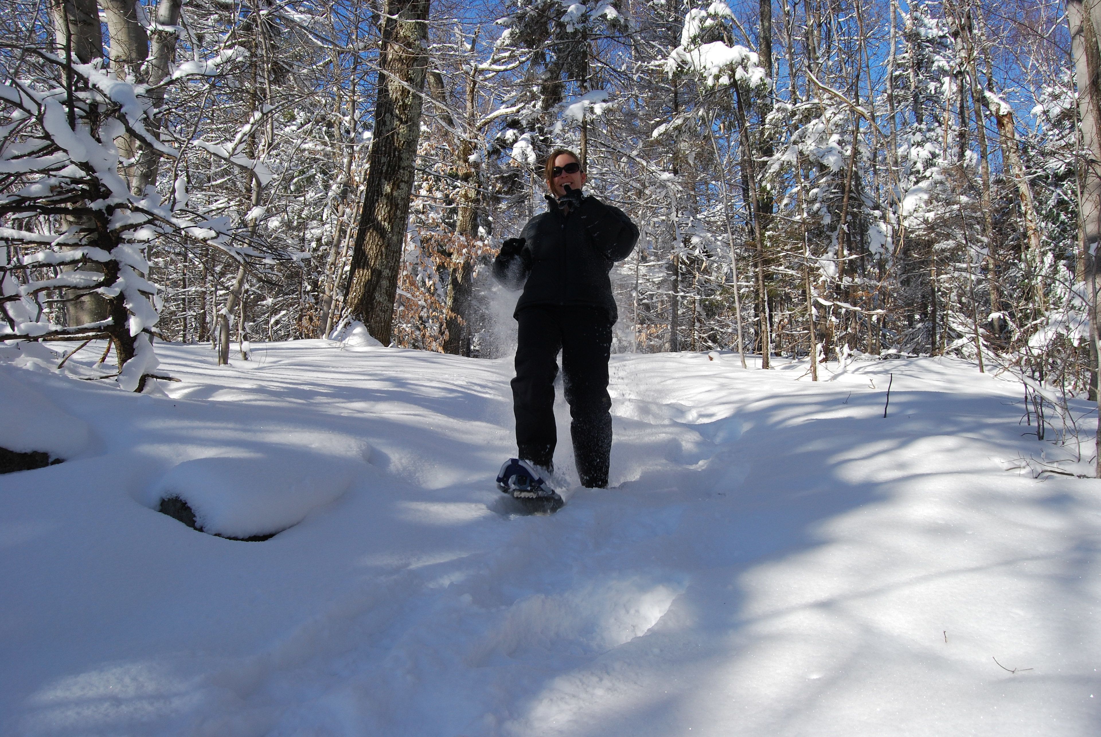 Una persona fa snowboard in una foresta innevata.