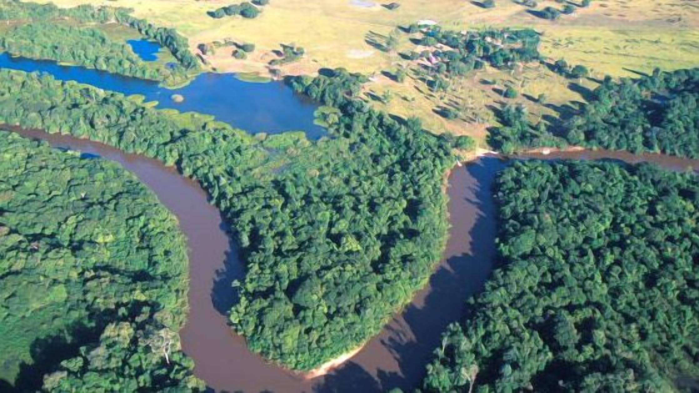 An aerial view of a river winding through a dense forest with a small lake to the left.