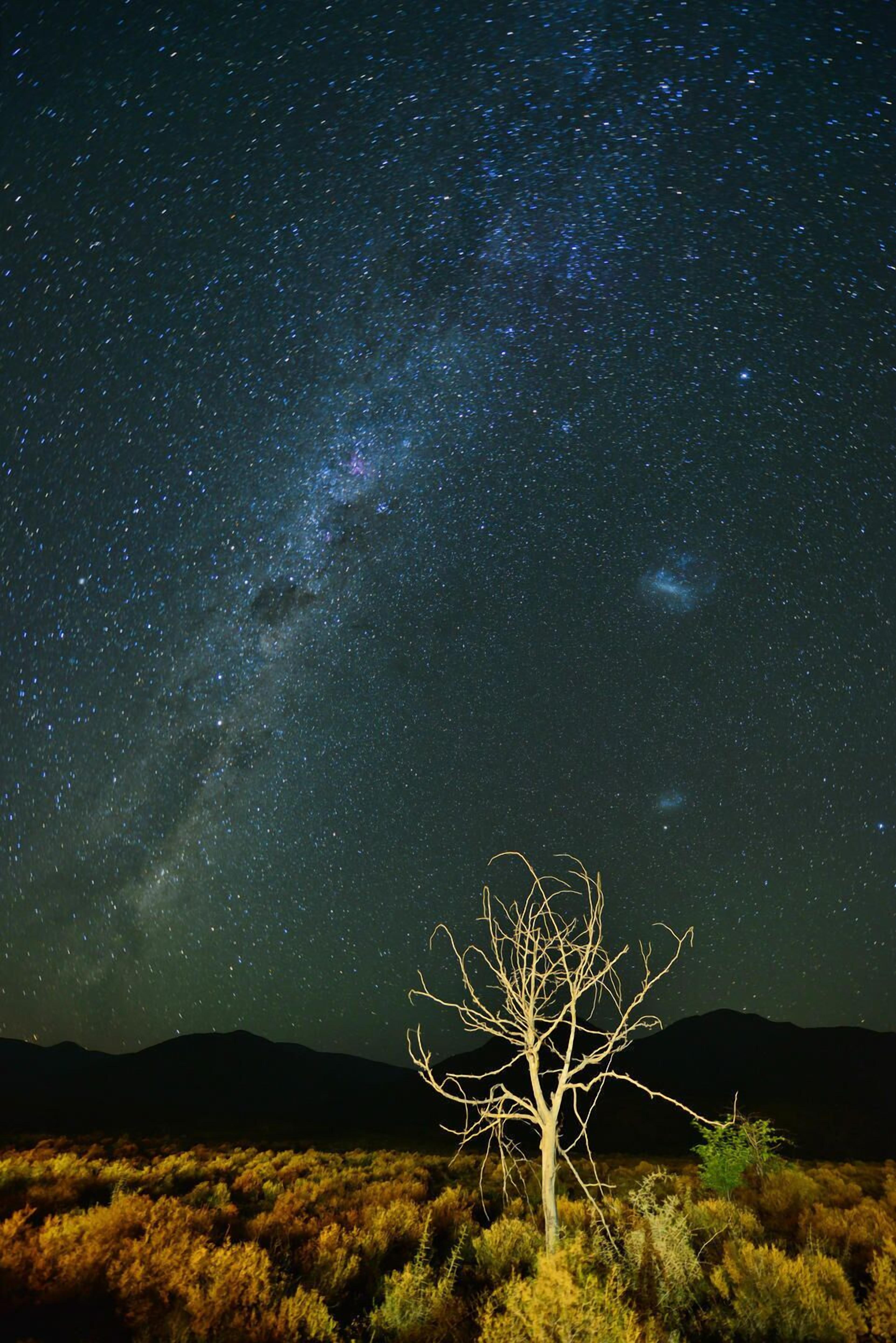 A night sky with stars and the Milky Way over a barren landscape with a single tree.
