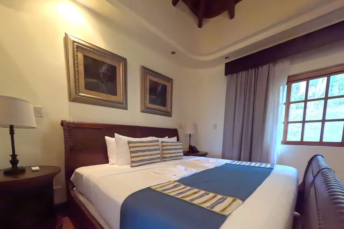 Suite Junior, 1 très grand lit, terrasse, vue montagne | Minibar, coffres-forts dans les chambres, ameublement personnalisé