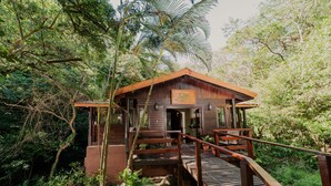 Ngoại thất