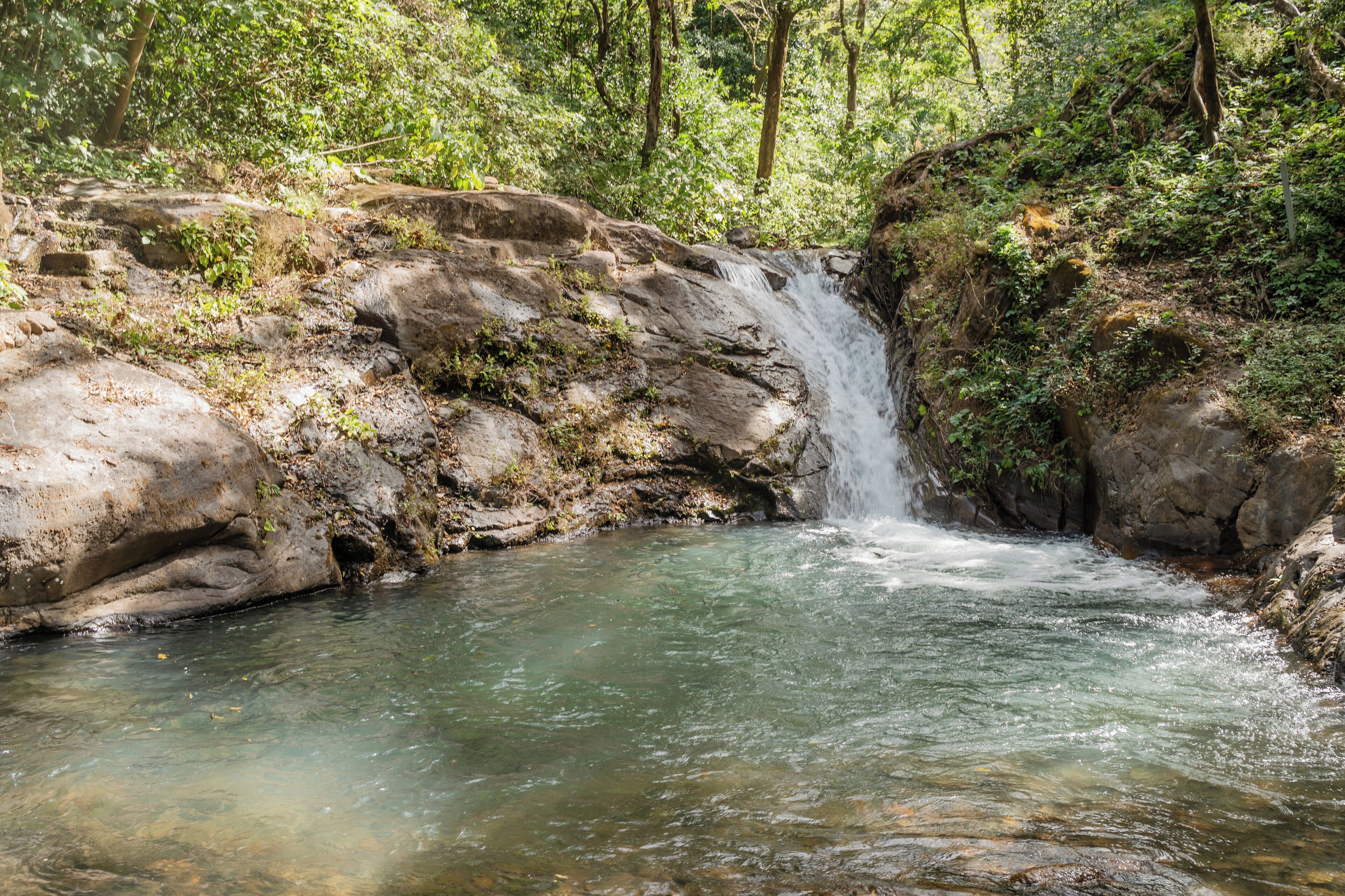 Ein natürlicher Wasserfall in einem bewaldeten Gebiet mit klarem Wasser und felsigem Ufer.