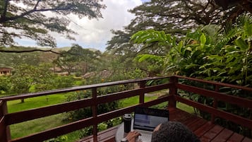 Vista desde la habitación