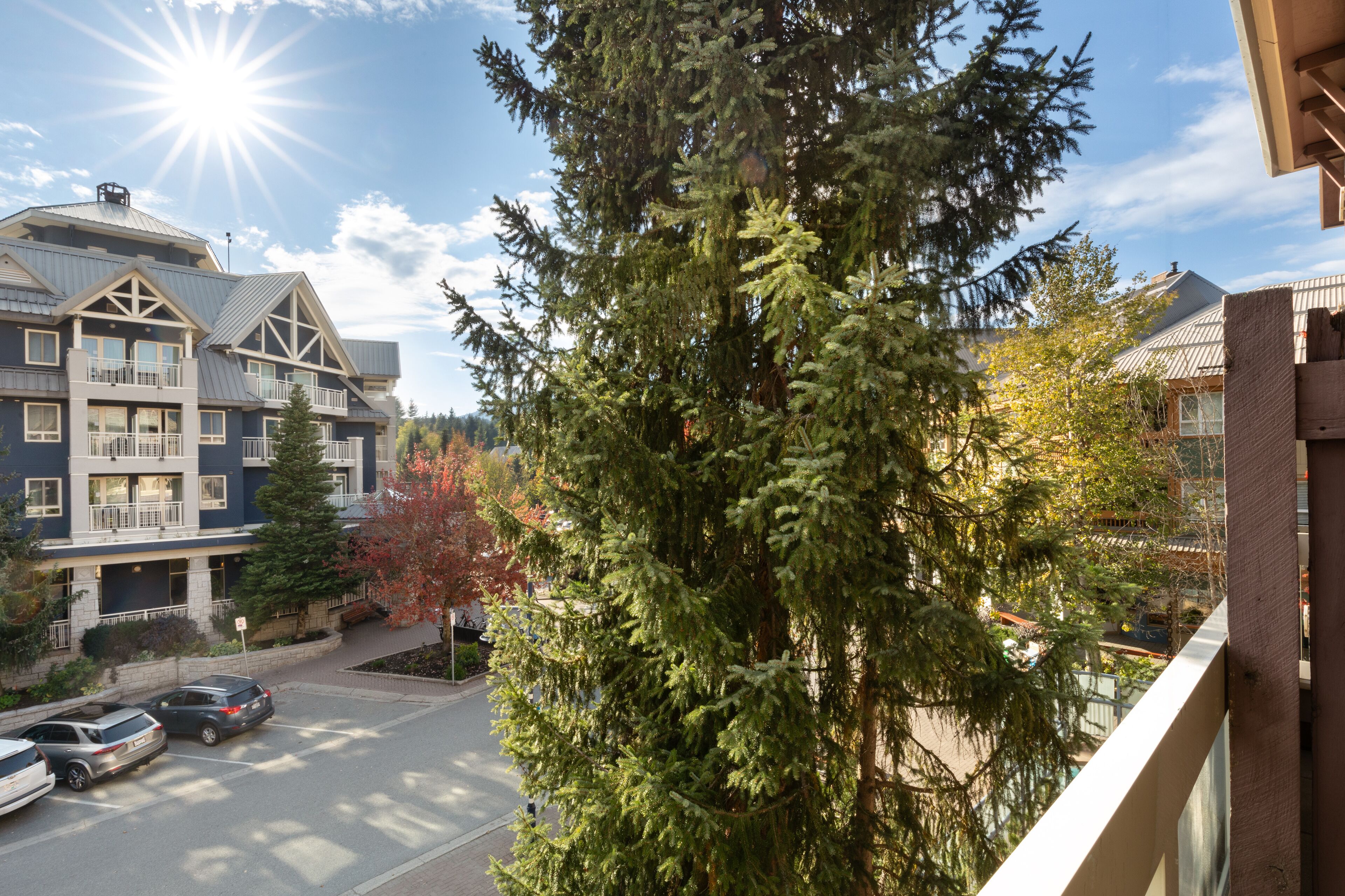 A multi-story building with a prominent balcony, a parking area with cars, and a large evergreen tree in the foreground.