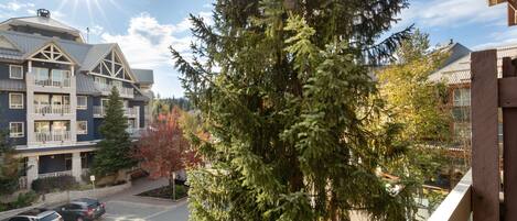 A multi-story building with a prominent balcony, a parking area with cars, and a large evergreen tree in the foreground.
