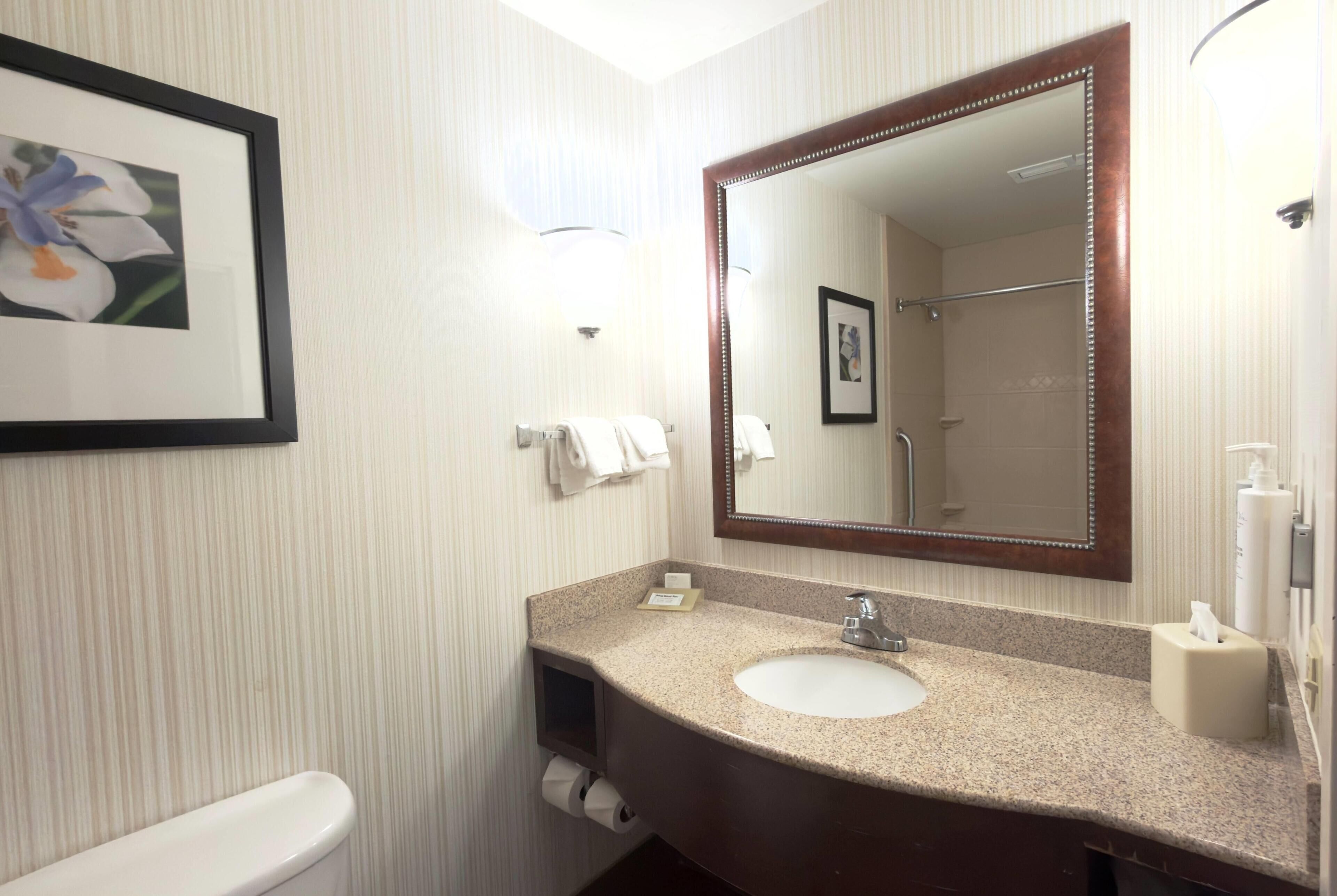A bathroom with a sink, mirror, towel rack, toilet, and framed picture on the wall.