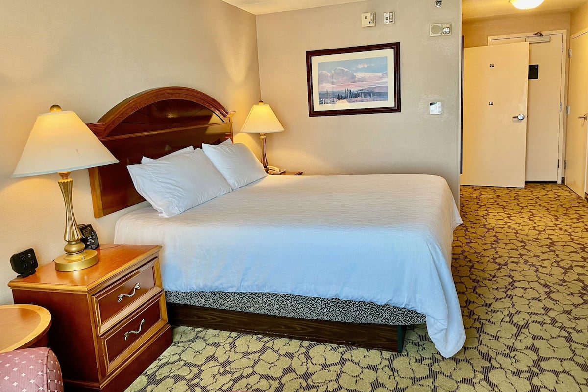 Quarto de hotel com uma cama grande, duas luminárias de cabeceira, uma mesinha de cabeceira de madeira, um tapete estampado e um quadro na parede.