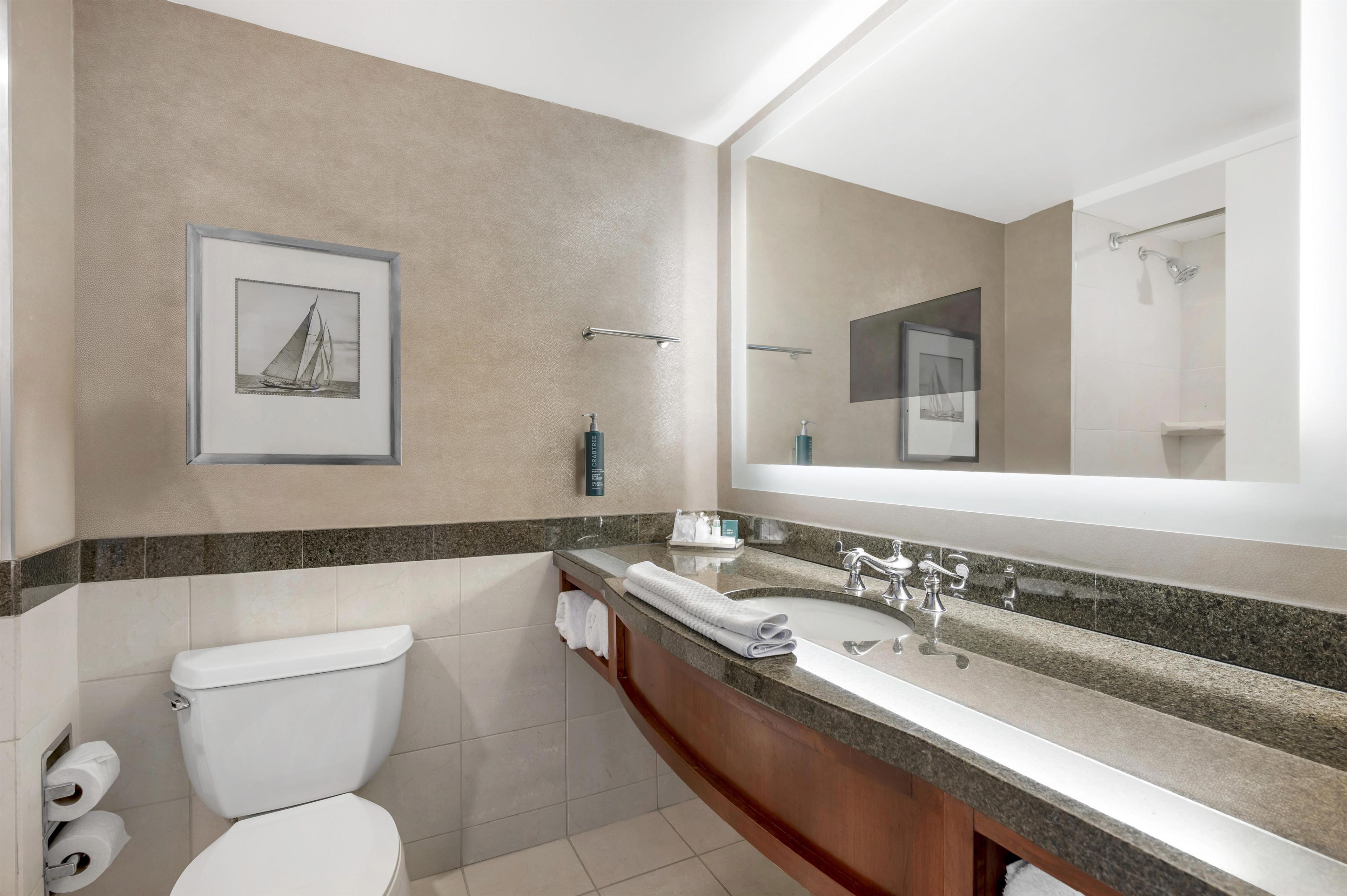 A bathroom with a toilet, sink, and a large mirror.