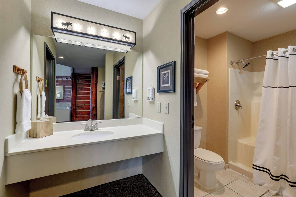 combined shower/bathtub, free toiletries, hair dryer, towels