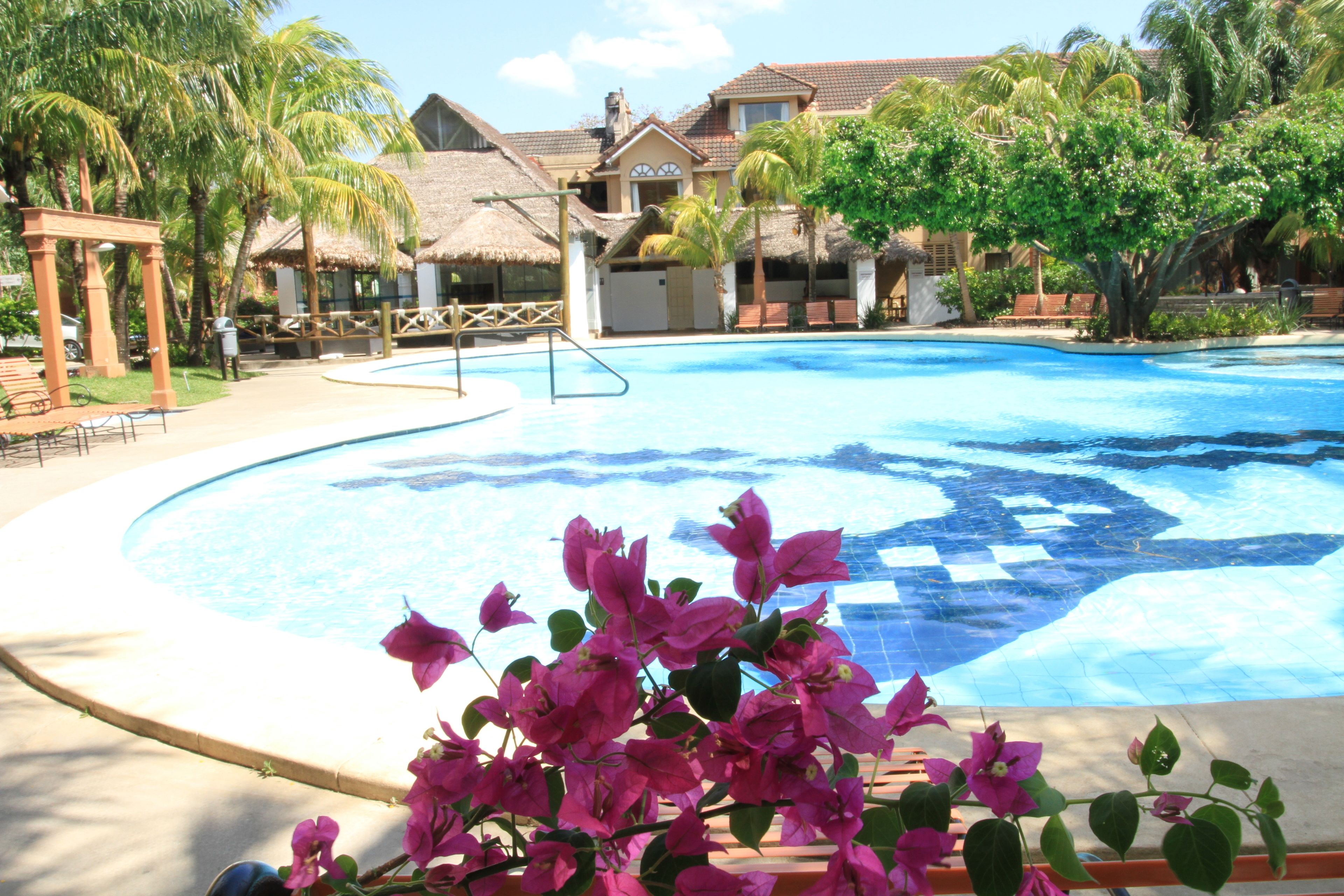 Outdoor pool, pool umbrellas