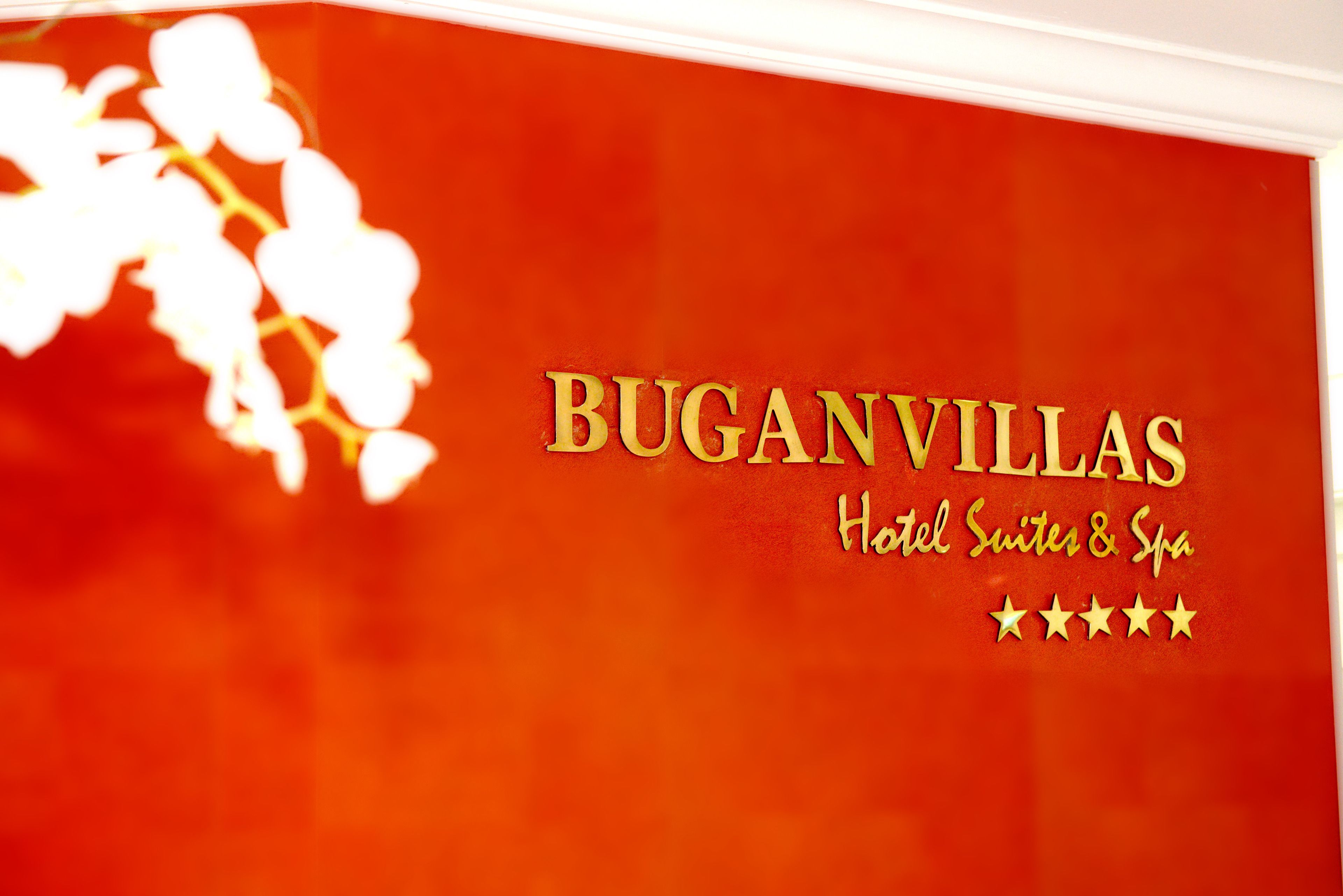 Foto - Buganvillas Hotel Suites