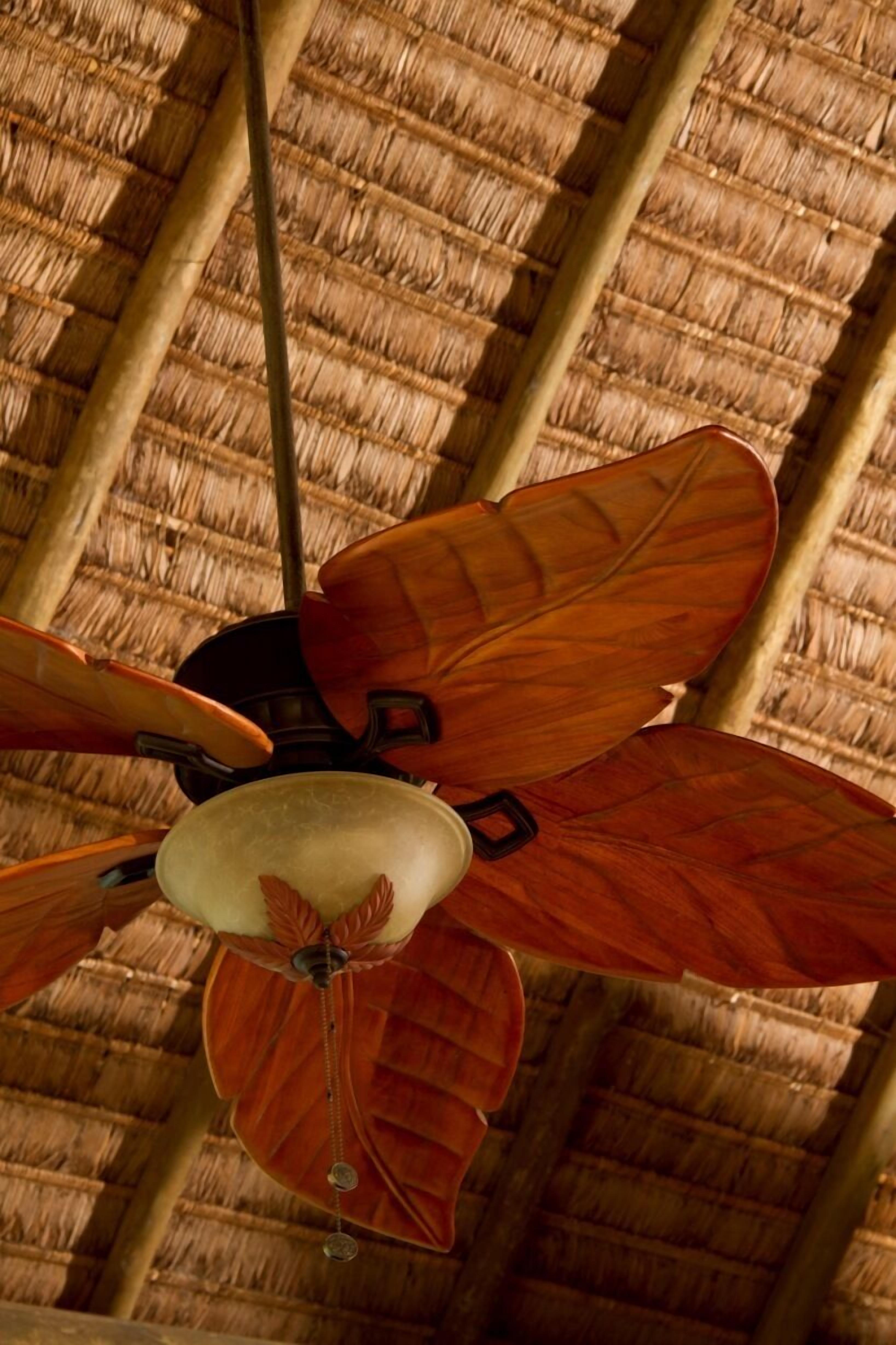 Foto - Buganvillas Hotel Suites