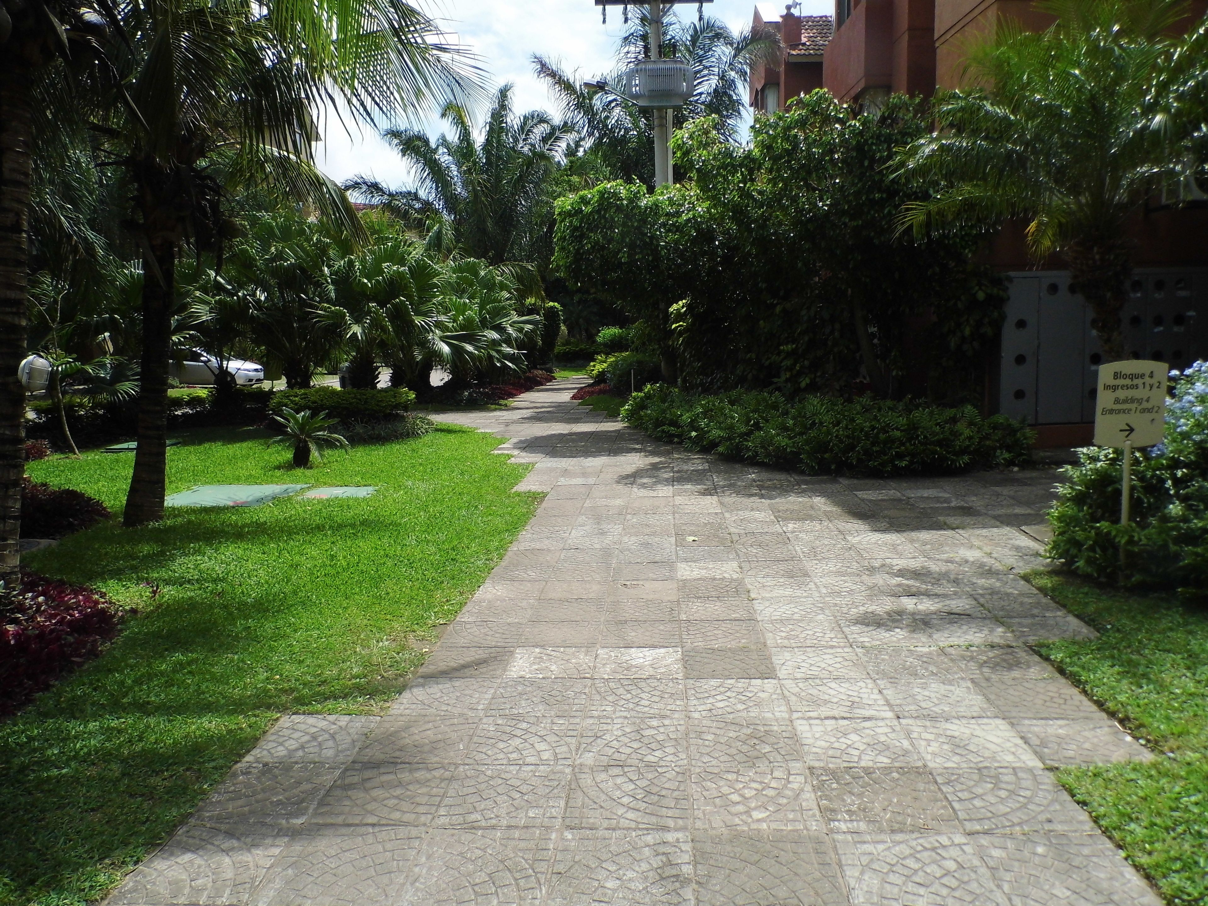 Foto - Buganvillas Hotel Suites