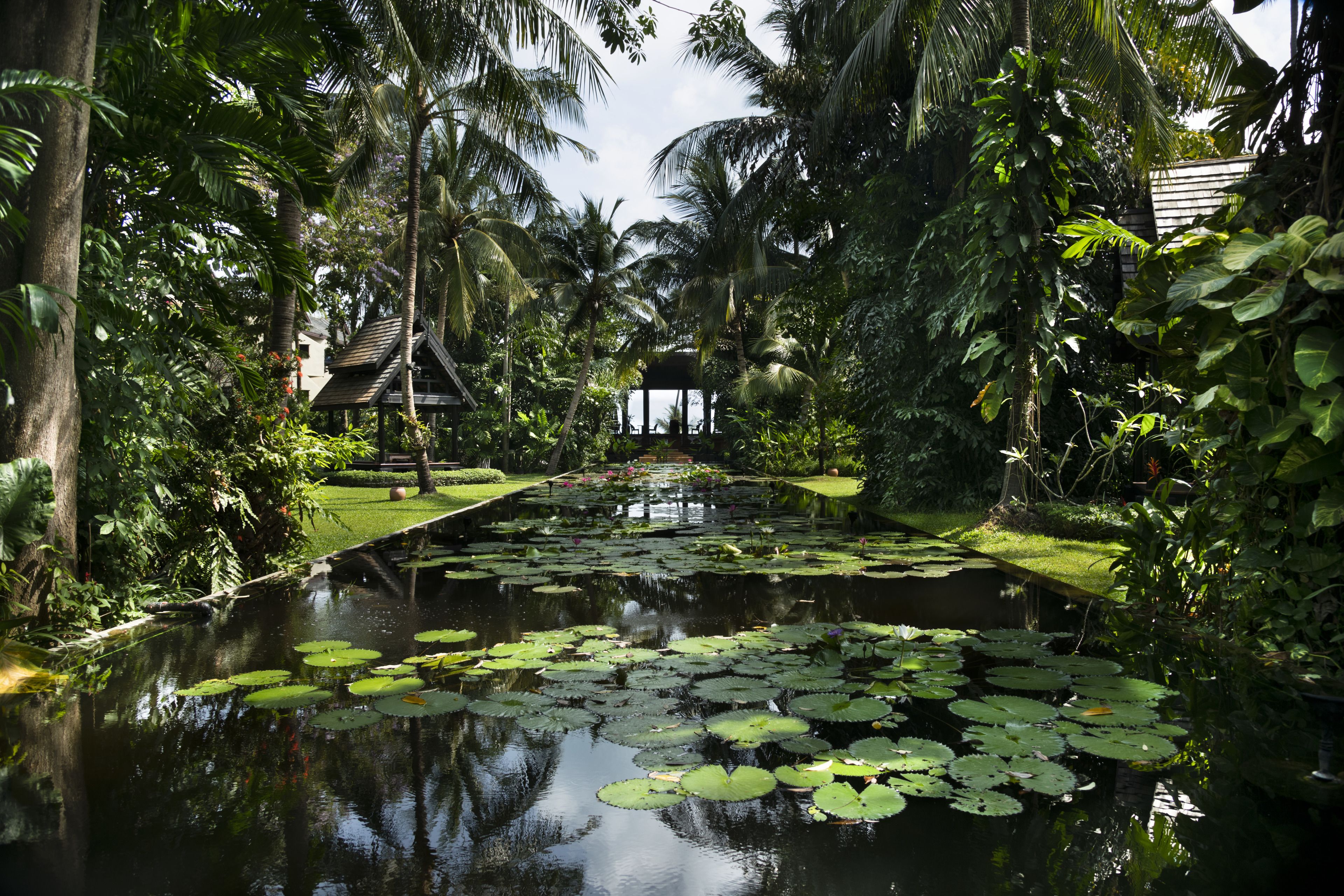 庭園