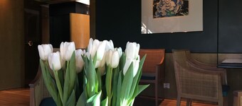 Hotel 322 Lambermont