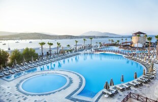 A large, curved swimming pool with lounge chairs and umbrellas, surrounded by palm trees and overlooking a body of water with boats.