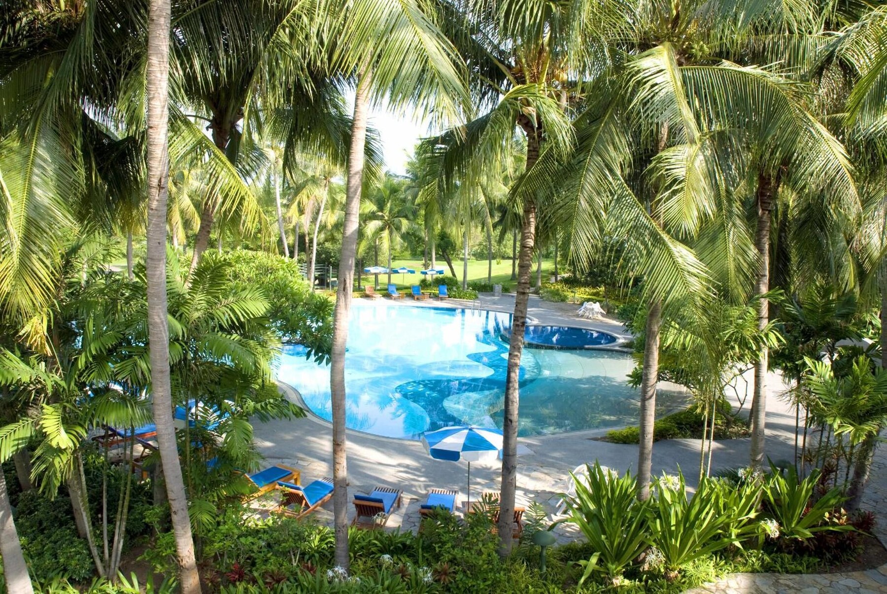 Outdoor pool, pool umbrellas