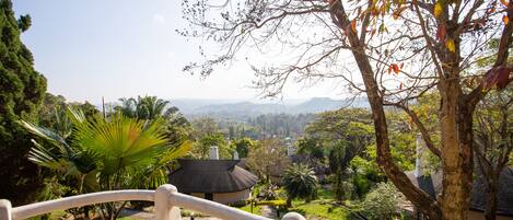 A view from a balcony with a white railing, overlooking a lush garden with various trees and a distant landscape.