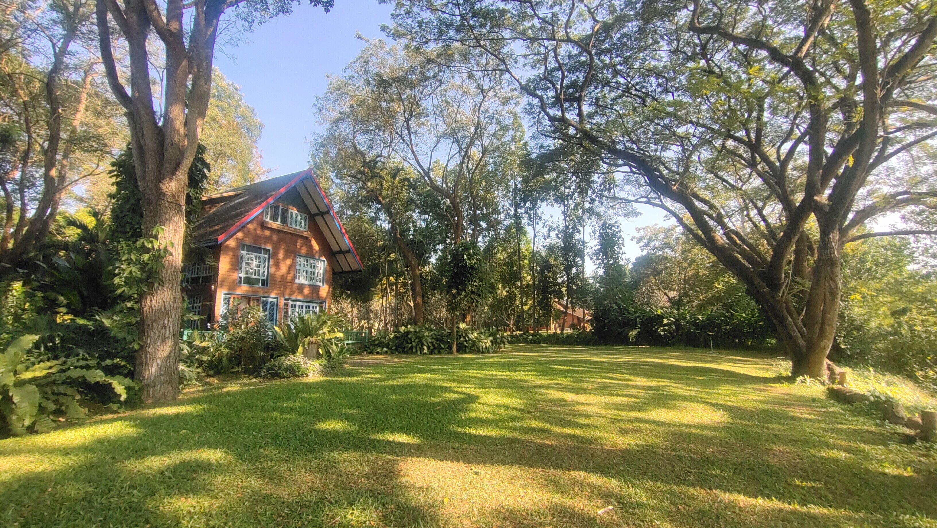 A house surrounded by a well-maintained lawn and large trees.