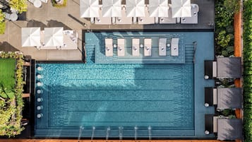 Une piscine à débordement située sur le toit, dotée de chaises longues et de parasols, et entourée de verdure.