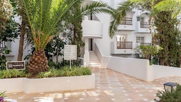 A hotel courtyard with a palm tree, a sign indicating the direction to the solarium, and a tiled walkway leading to a staircase.