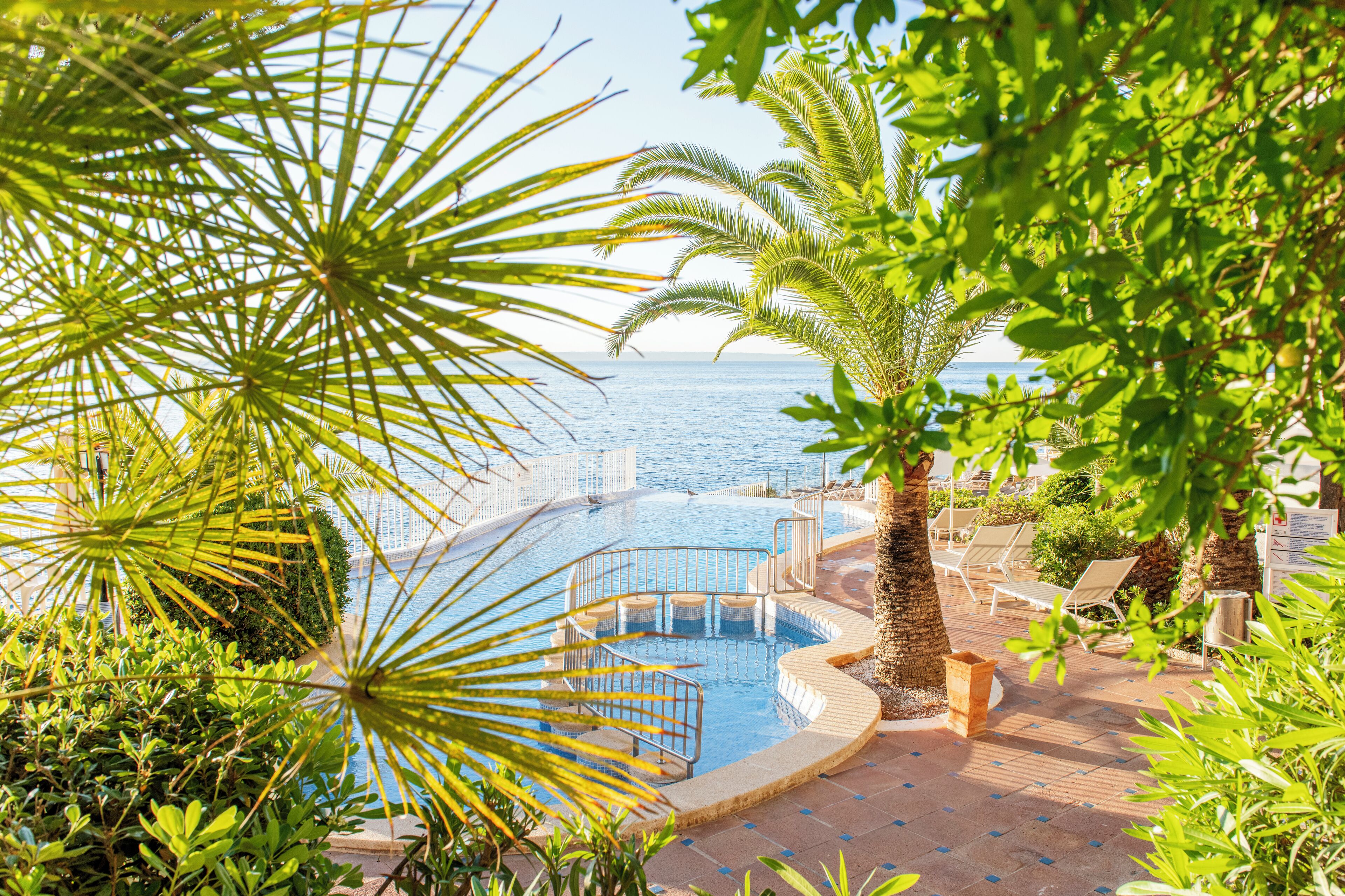 A pool area with a view of the sea, surrounded by palm trees and lounge chairs.